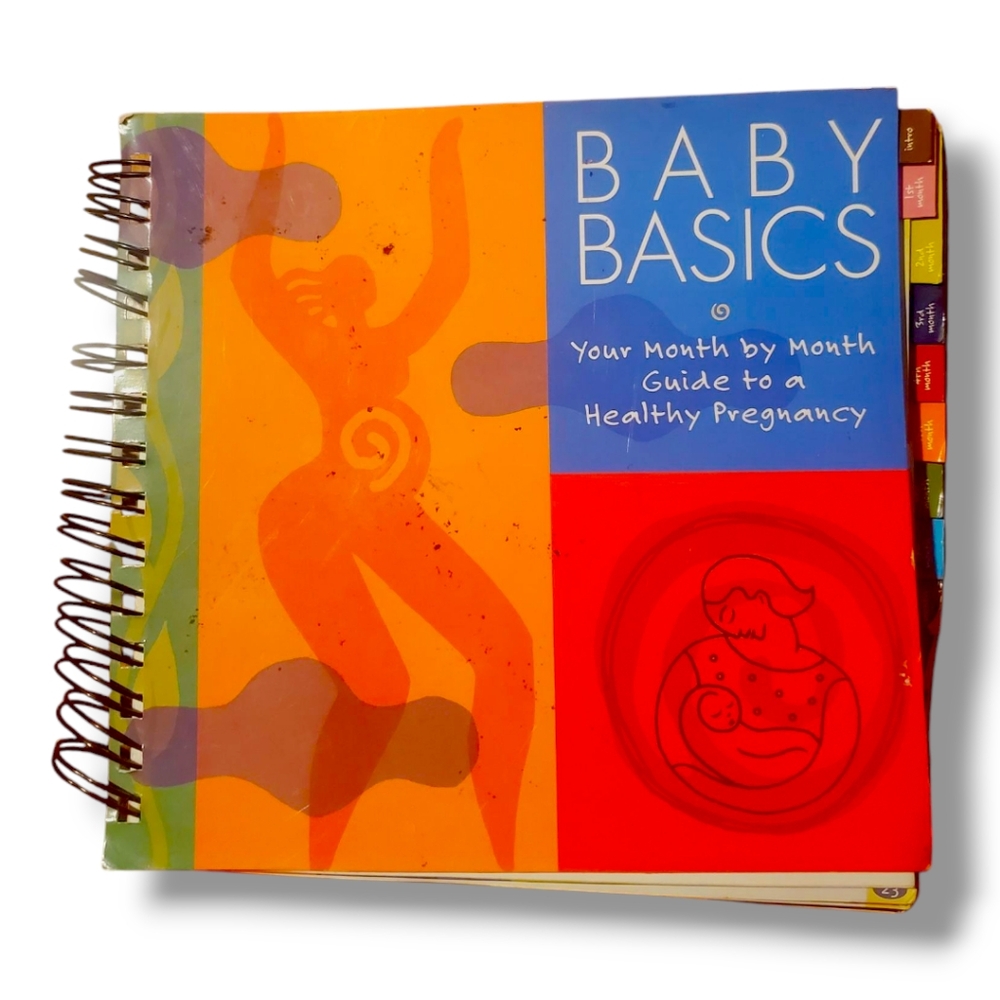 Baby Basics: Month to Month Guide to a Healthy Pregnancy, Book